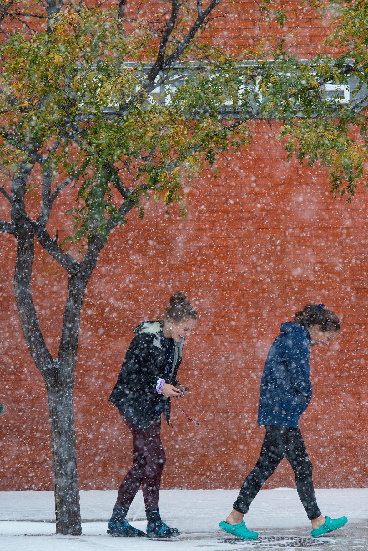 10_10_19 blizzard 0251.jpg